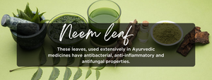 Neem Leaf - Health Benefits, Uses and Important Facts