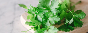 Parsley  - Health Benefits, Uses and Important Facts
