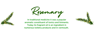 Rosemary - Health Benefits, Uses and Important Facts