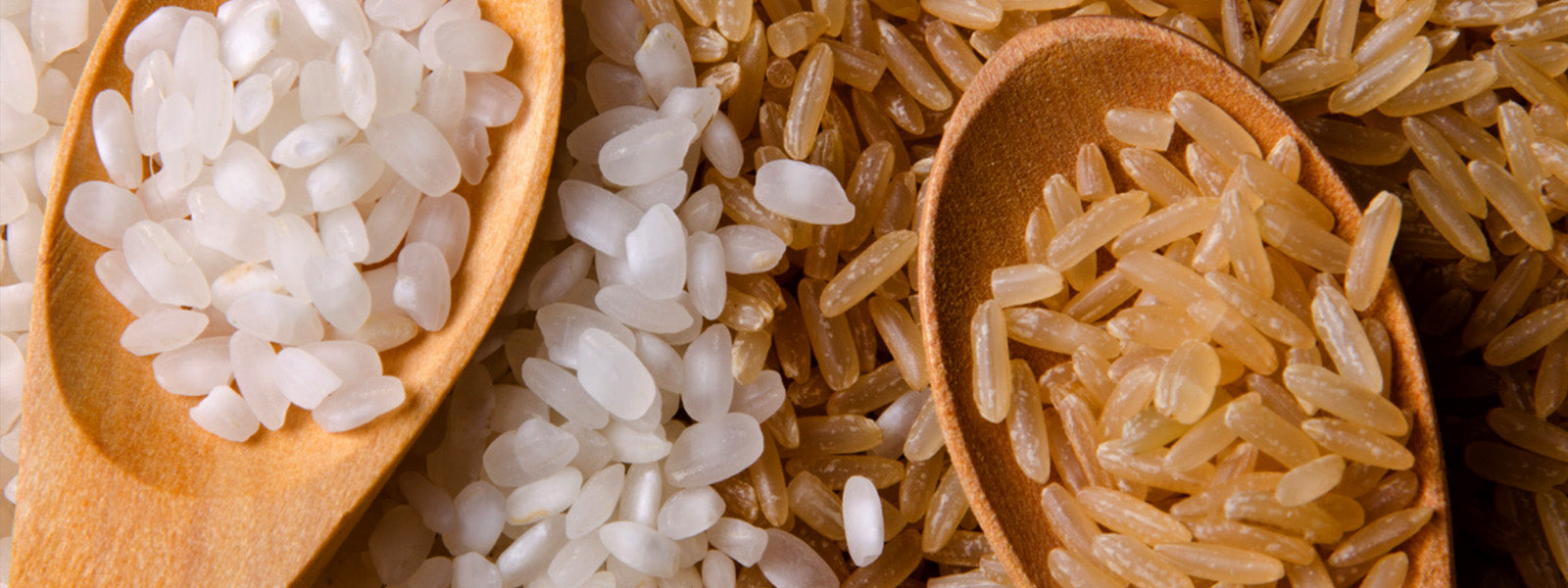 Brown rice or white rice, which is more healthy?