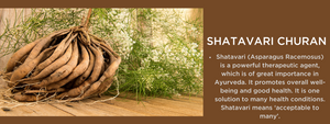 Shatavari churna- Health Benefits, Uses and Important Facts