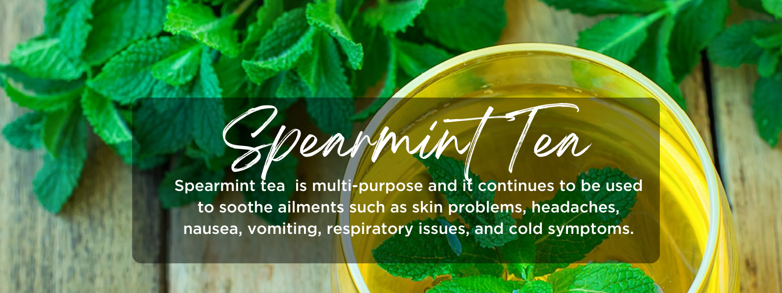 Spearmint tea - Health Benefits, Uses and Important Facts