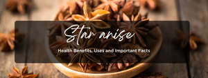 Star anise - Health Benefits, Uses and Important Facts
