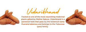 Vidarikhand- Health Benefits, Uses and Important Facts