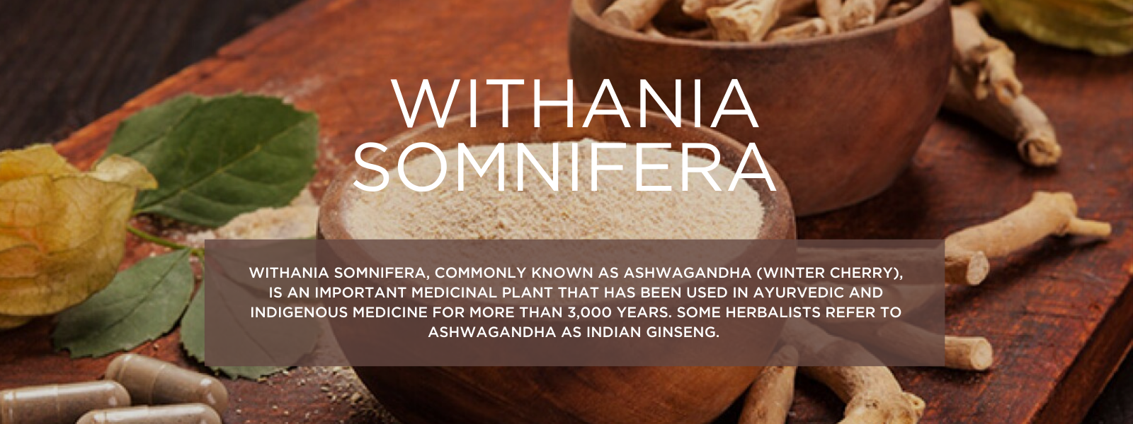 Withania Somnifera- Health Benefits, Uses and Important Facts