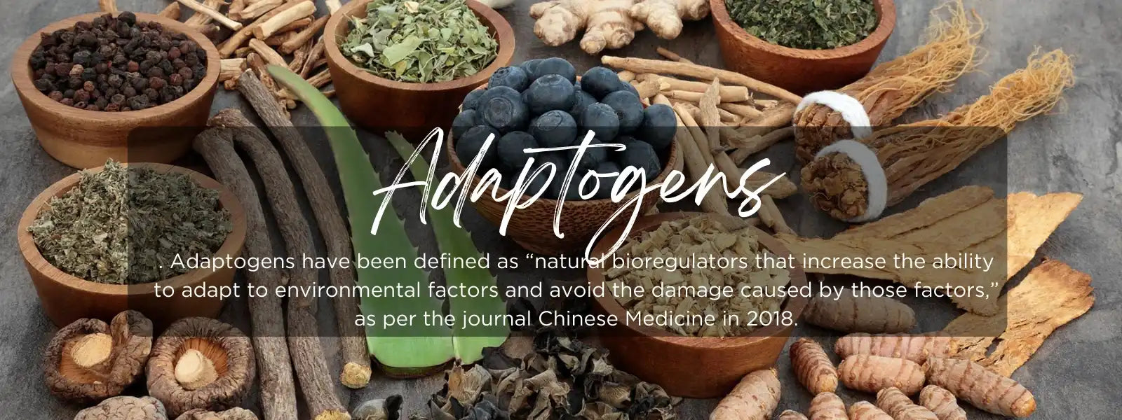 Adaptogens- Health Benefits, Uses and Important Facts