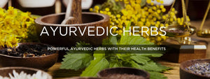 Ayurvedic herbs - Health Benefits, Uses and Important Facts