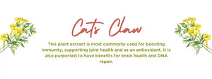 Cat's claw - Health Benefits, Uses and Important Facts