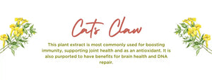 Cat's claw - Health Benefits, Uses and Important Facts