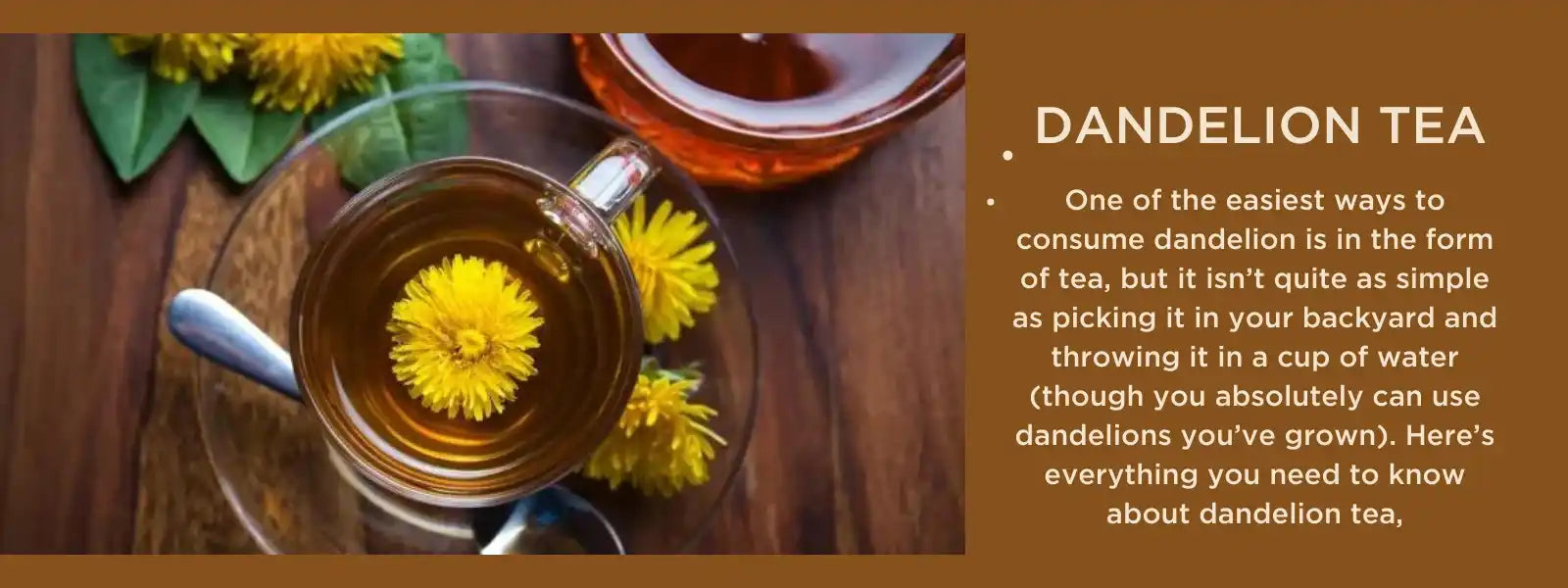 Dandelion tea - Health Benefits, Uses and Important Facts
