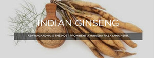 Indian Ginseng  - Health Benefits, Uses and Important Facts