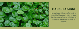 Mandukaparni - Health Benefits, Uses and Important Facts