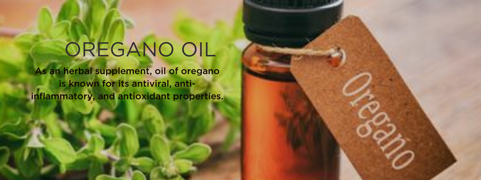 Oregano oil Health Benefits, Uses and Important Facts PotsandPans India