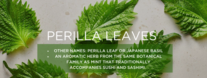 Perilla leaf - Health Benefits, Uses and Important Facts