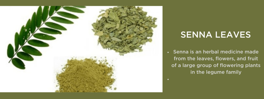 Senna leaves- Health Benefits, Uses and Important Facts
