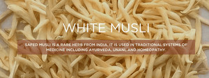 White musli - Health Benefits, Uses and Important Facts
