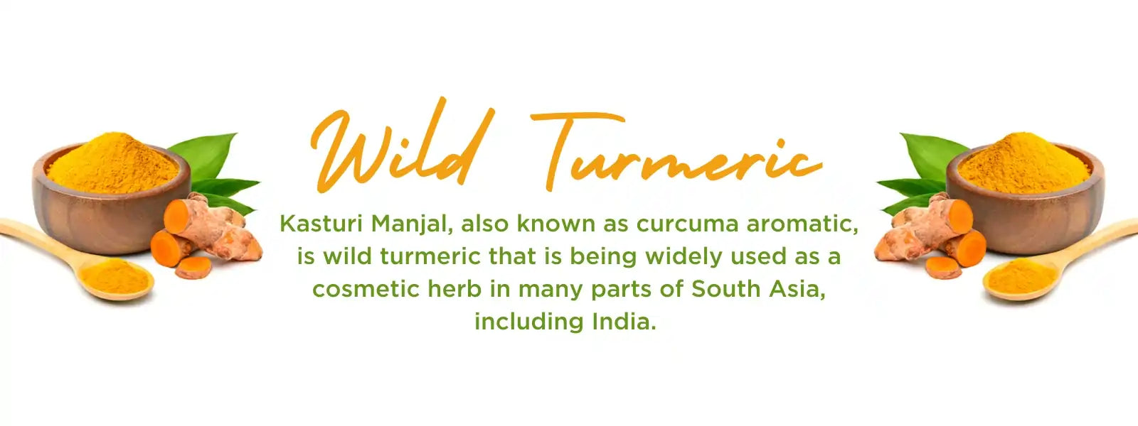 Wild turmeric - Health Benefits, Uses and Important Facts