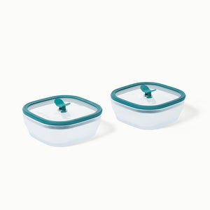 Microwave safe frosted borosilicate glass Anyday dishware- Small Square Dish Set of 2