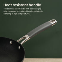 MEYER AEROCAST Light weight Cast Iron 20cm Round Skillet