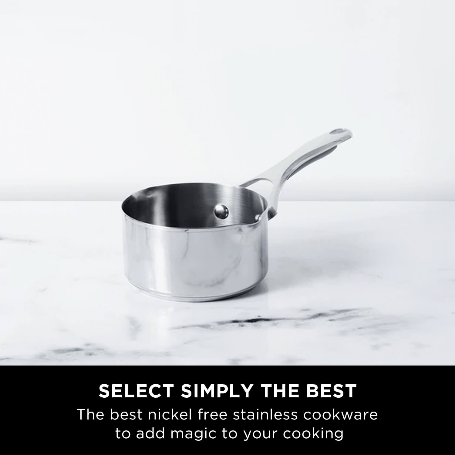 Meyer Select Stainless Steel 2-Piece Cookware Set (Gas and Induction Compatible)