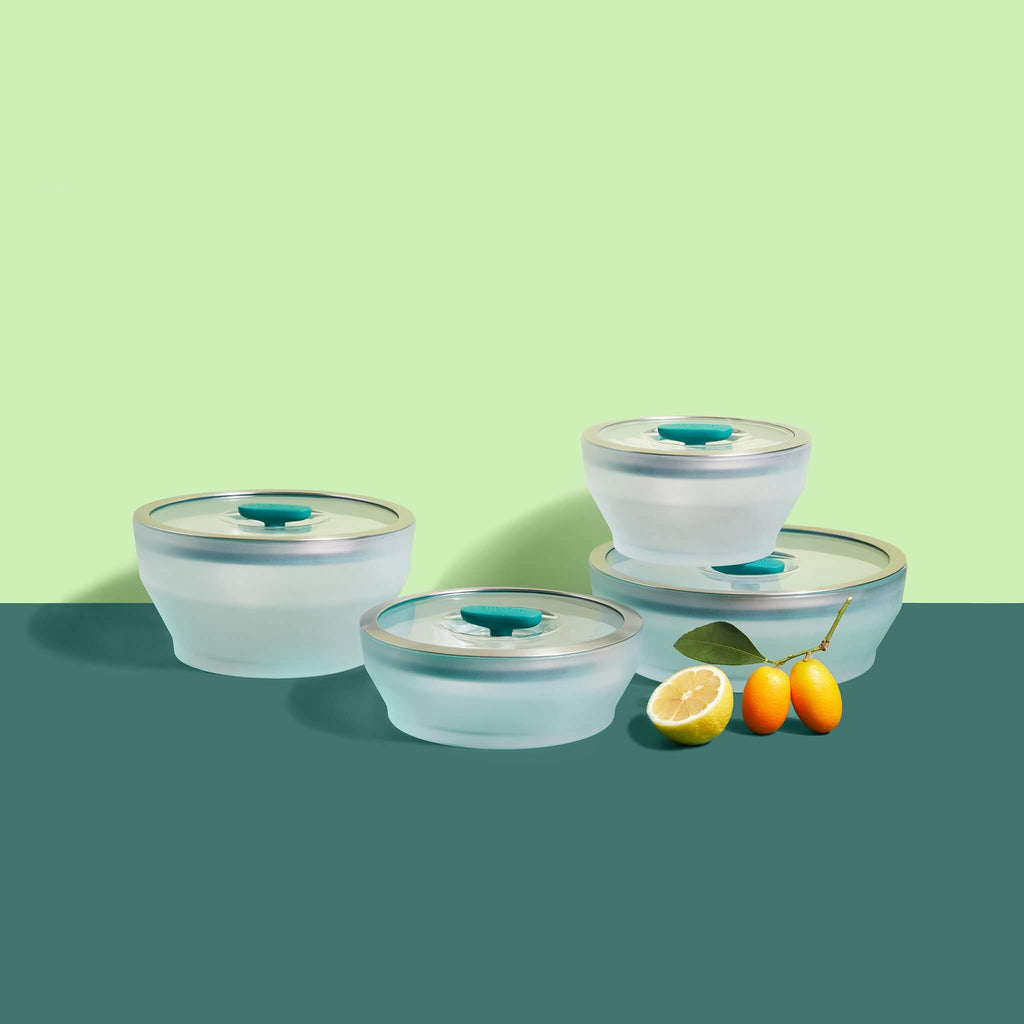 Microwave safe frosted borosilicate bowl set of 4 Anyday dishes with l